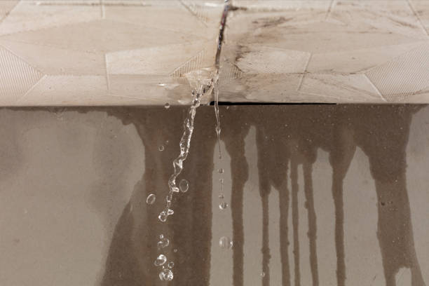 Professional Burst Pipe Cleanup technician working in Hayward, MN